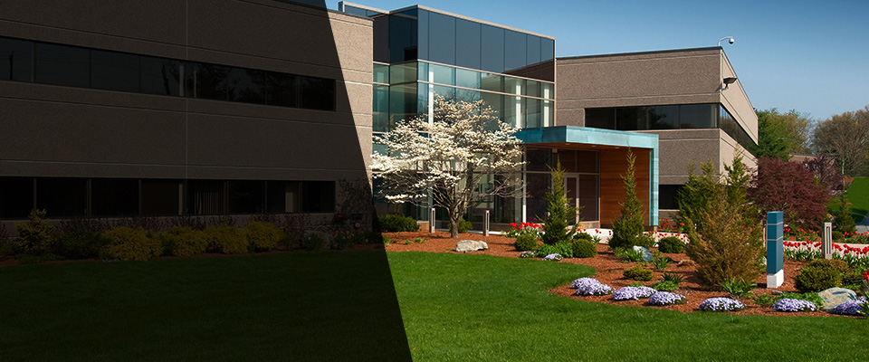 Lead Landscapers