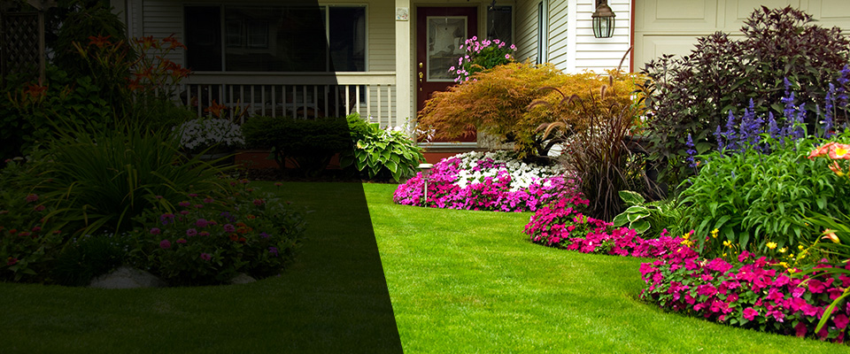 Lead Landscapers