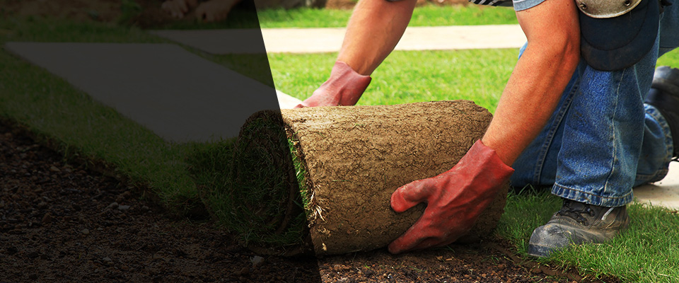Lead Landscapers